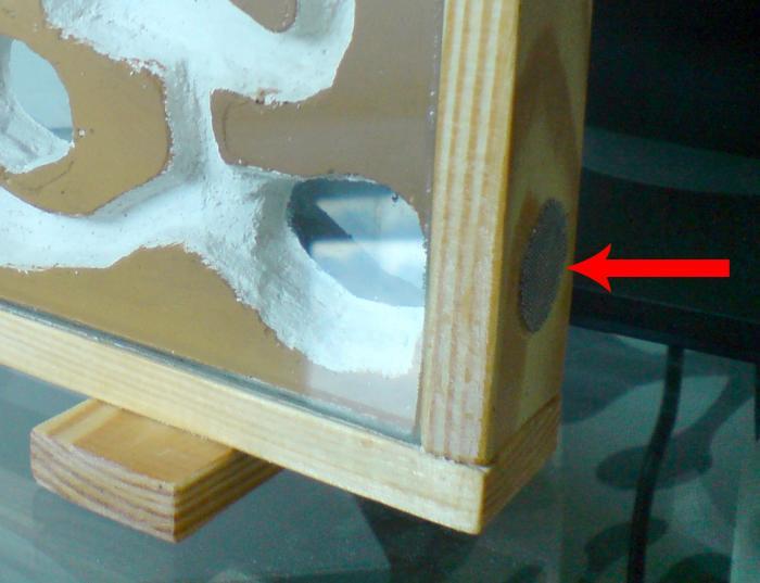 DSC07955 копія.jpg